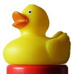 bath-duck